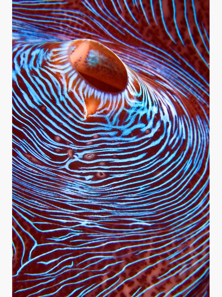 Hyperspace by DavidWachenfeld
