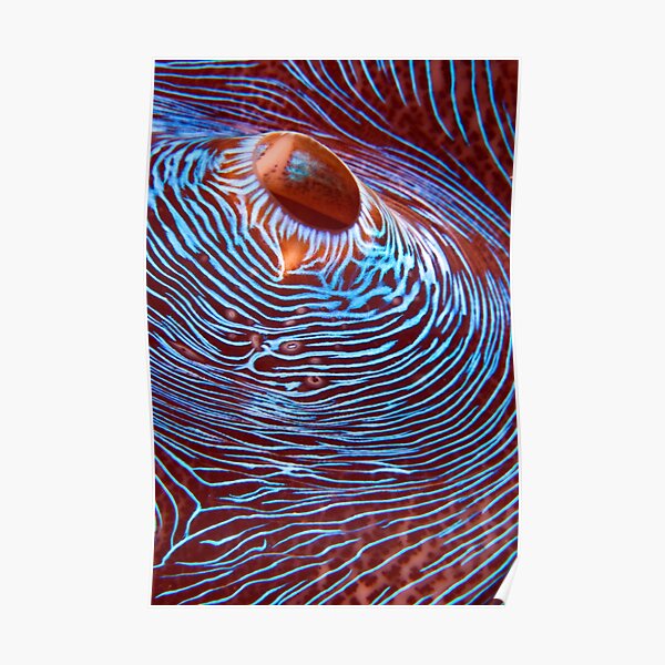 Hyperspace Poster