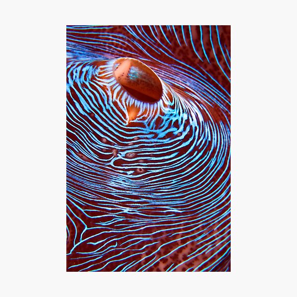 Hyperspace Photographic Print