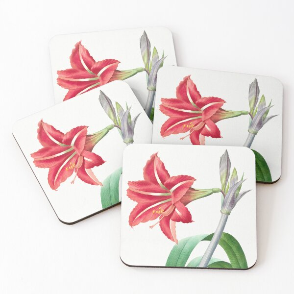 Item preview, Brazilian Amaryllis from Choix des plus belles fleurs  by Pierre-Joseph Redoute designed and sold by InHerits.