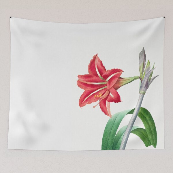 Item preview, Brazilian Amaryllis from Choix des plus belles fleurs  by Pierre-Joseph Redoute designed and sold by InHerits.