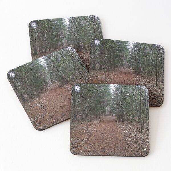 Item preview, Walk in the woods  designed and sold by NaturebyAdamV.