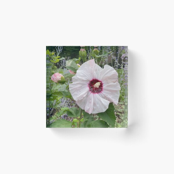 Artikelvorschau, Speiseteller Hibiskus entworfen und verkauft von Eric's Digital Artistry.