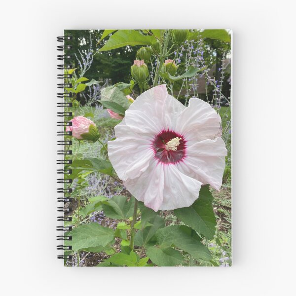 Item preview, Dinner plate hibiscus designed and sold by Eric's Digital Artistry.