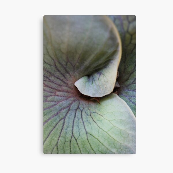 Item preview, Absract fern leaf designed and sold by AnnaKT.