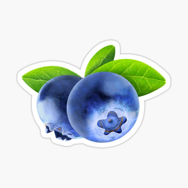 Item preview, Two blueberries designed and sold by 6hands.
