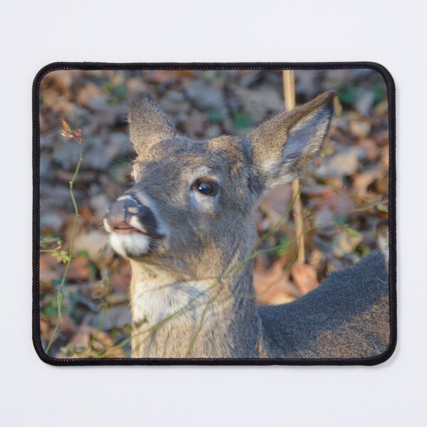 Item preview, Deer in the woods designed and sold by lisapicklepizza.