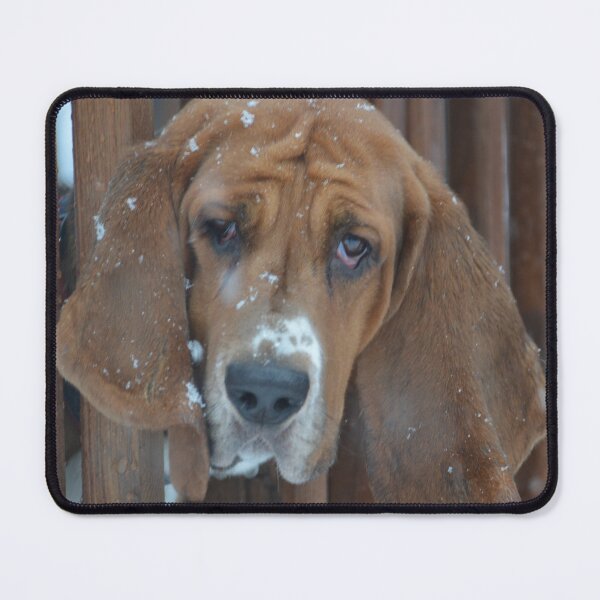 Item preview, Basset Hound in the Snow designed and sold by lisapicklepizza.