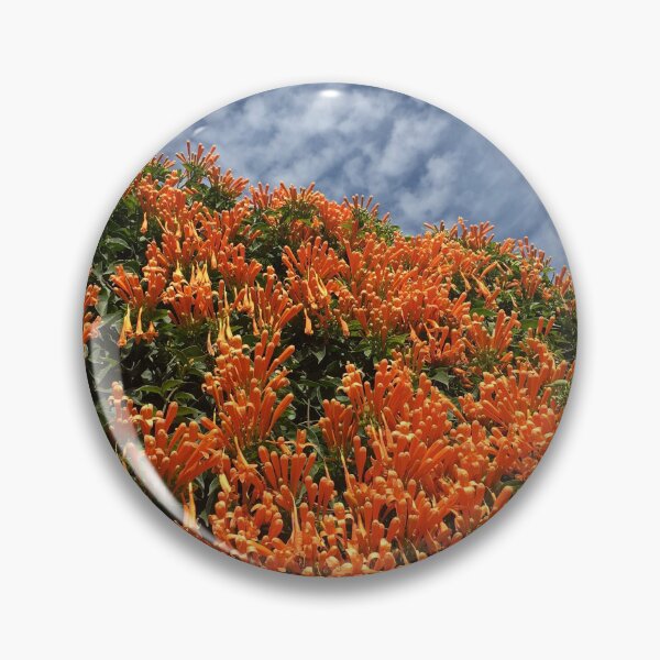 Item preview, Coral Honeysuckle & altocumulus clouds by Iritof designed and sold by iritof.