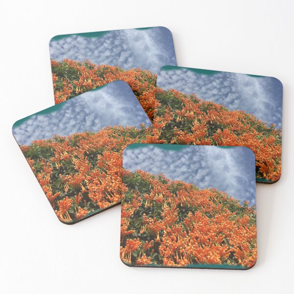 Item preview, Coral Honeysuckle & altocumulus clouds by Iritof designed and sold by iritof.
