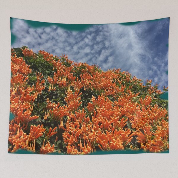 Item preview, Coral Honeysuckle & altocumulus clouds by Iritof designed and sold by iritof.