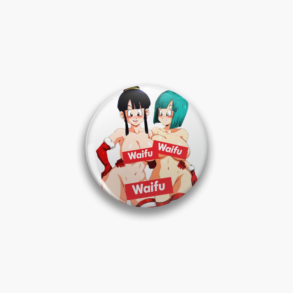 "WAIFU Bulma and Chichi the perfect Waifus from Dragonball " Pin for