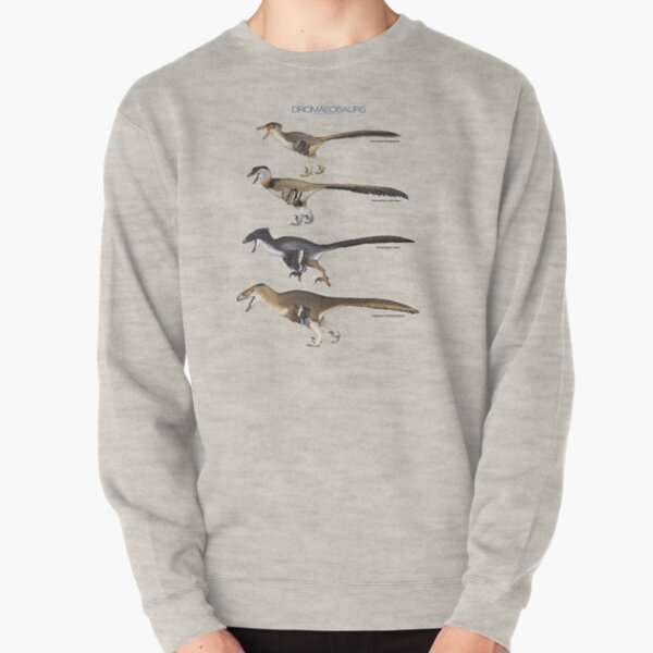 Dromaeosaurs Pullover Sweatshirt