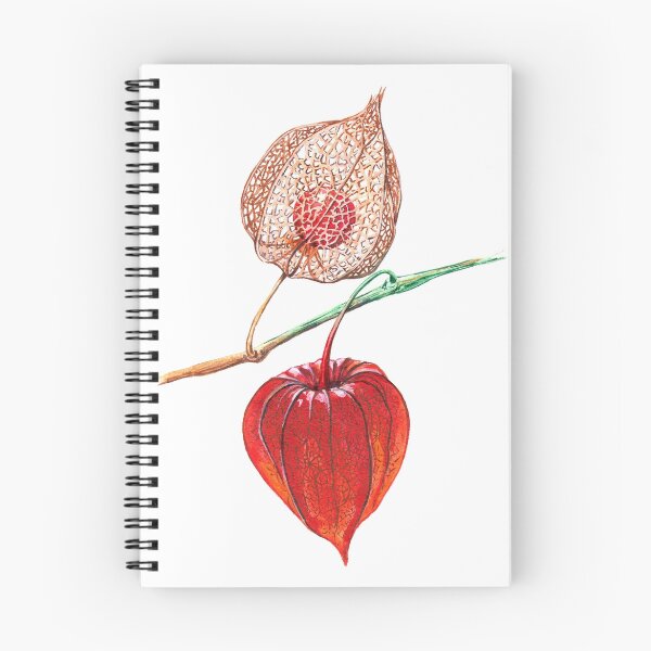 Item preview, Watercolor physalis designed and sold by TaniaBelArt.