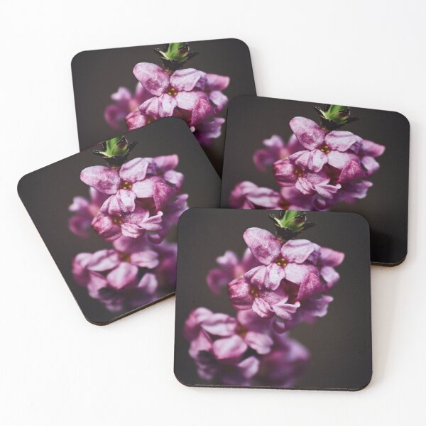 Item preview, Winter flower designed and sold by KTFoto.