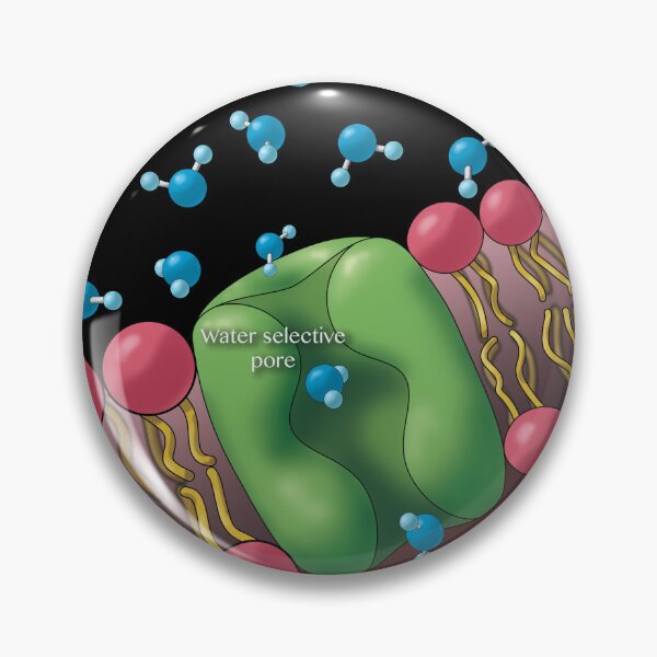 Item preview, Aquaporin, Microbiology Illustration designed and sold by ScienceSource.