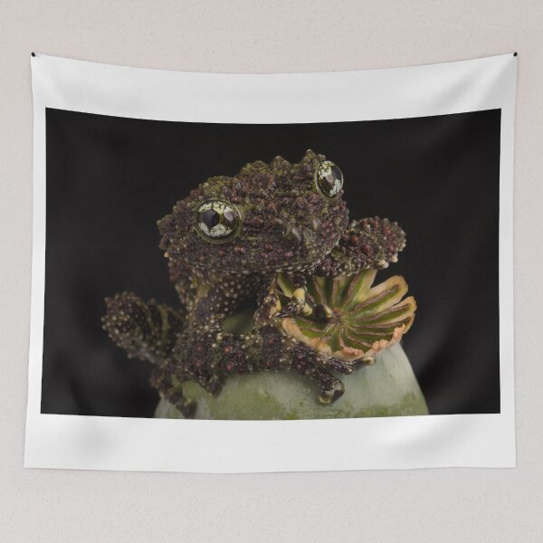 Item preview, Vietnamese Mossy Frog designed and sold by FXST.