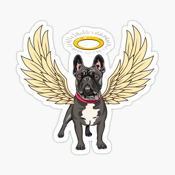 Dog Shirt with Angel Wing – Frenchiely
