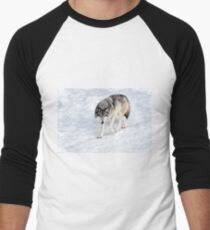 Winter Wolf Walk _ Timber Wolf Men's Baseball ¾ T-Shirt
