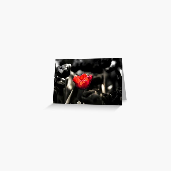 the noble red Greeting Card