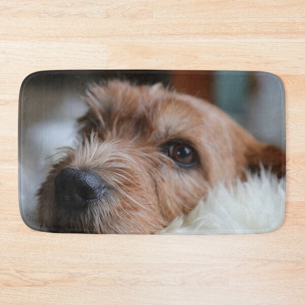 Item preview, Cute Dog designed and sold by cabgodfrey.