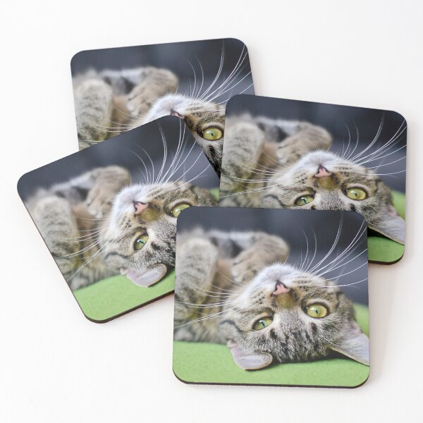 Item preview, Copy of Cat designed and sold by cabgodfrey.