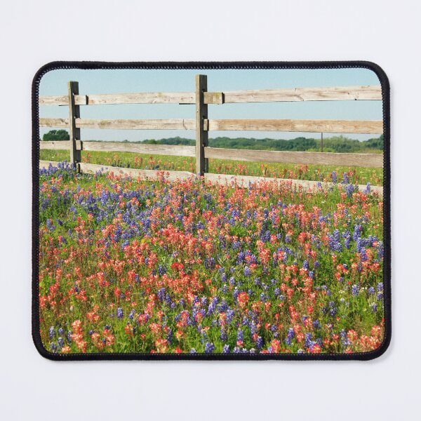 Item preview, Thank-you Card designed and sold by Texas Enfocus Photography.