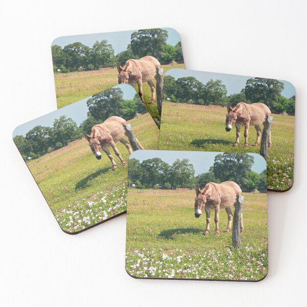 Item preview, Birthday Card designed and sold by Texas Enfocus Photography.