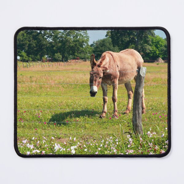 Item preview, Thinking of You  designed and sold by Texas Enfocus Photography.