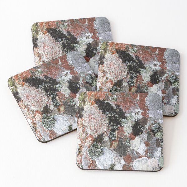 Item preview, palm tree bark 2. designed and sold by Nino rocha fotografia.