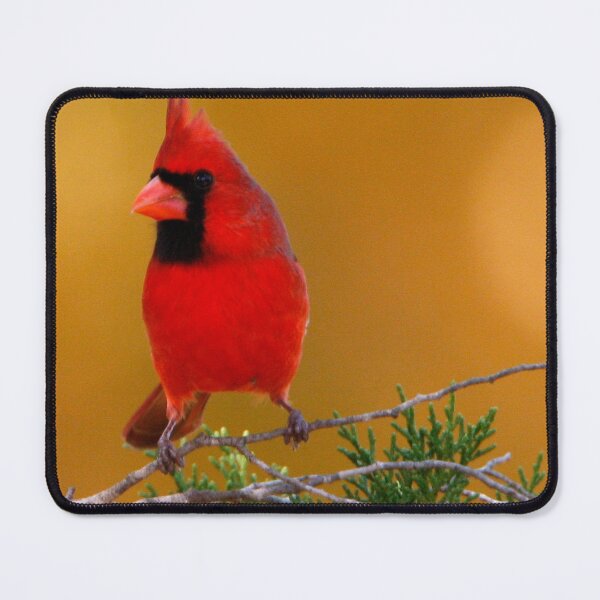 Item preview, Caring designed and sold by Texas Enfocus Photography.
