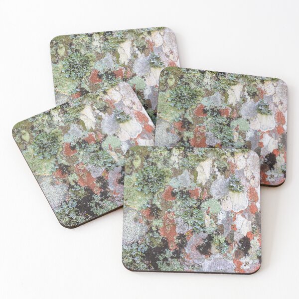 Item preview, palm tree bark 3. designed and sold by Nino rocha fotografia.