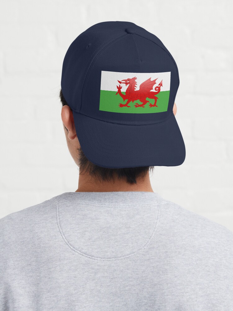 Buy Ddraig Goch Trans Flag, Wales Pride Design