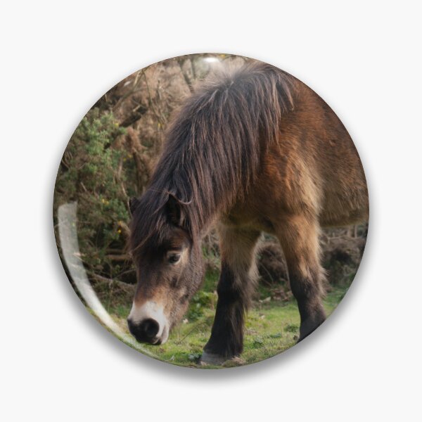 Item preview, Exmoor Pony Grazing. designed and sold by GingerMan2550.