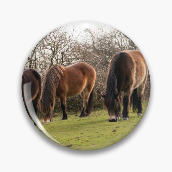Item preview, Wild Exmoor Ponies Grazing. designed and sold by GingerMan2550.
