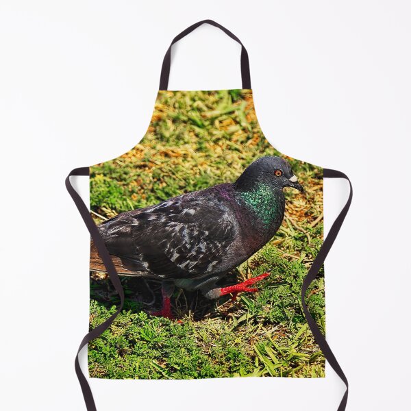 Item preview, Rock Pigeon designed and sold by Kay Brewer.