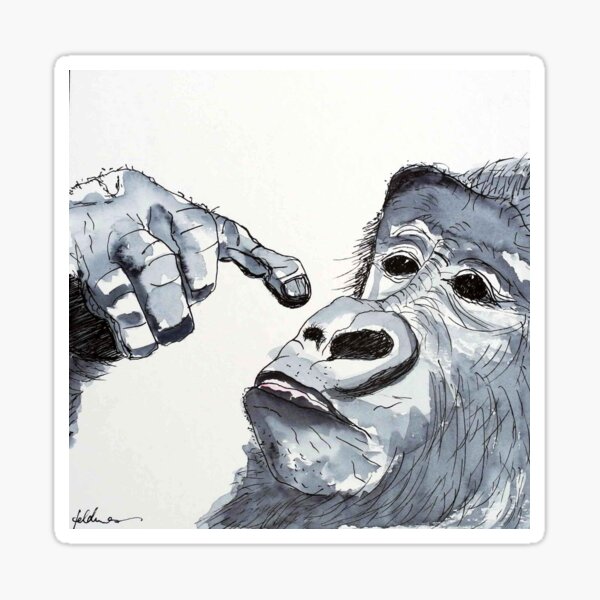 GORILLA - WATERCOLOUR AND INK Sticker