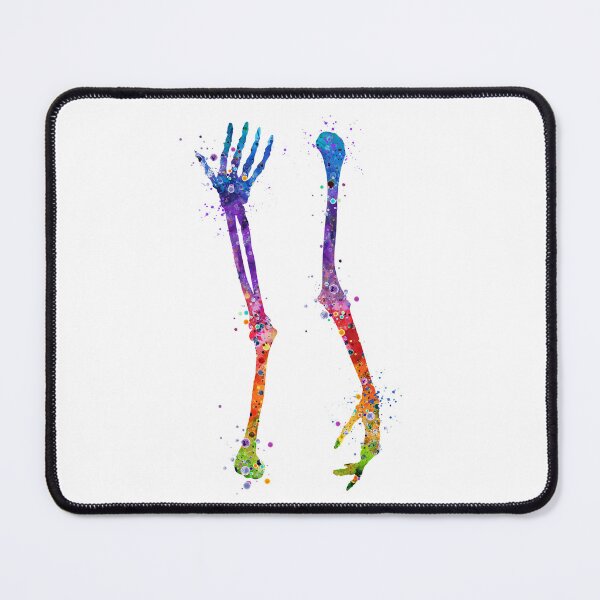 Item preview, Arm Bones Colorful Watercolor Anatomy designed and sold by LotusGifts.