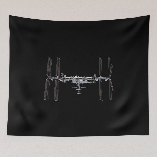 Item preview, ISS pictured from the SpaceX Crew Dragon (International Space Station) designed and sold by Raureif.
