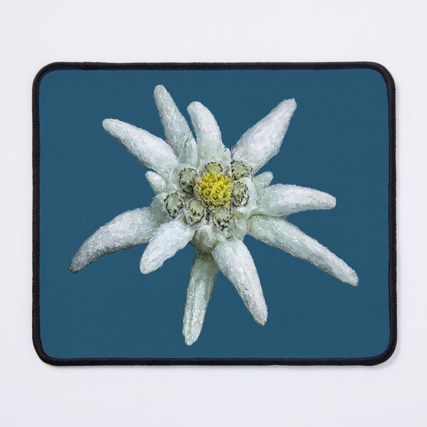 Item preview, Alpine edelweiss designed and sold by sibosssr.