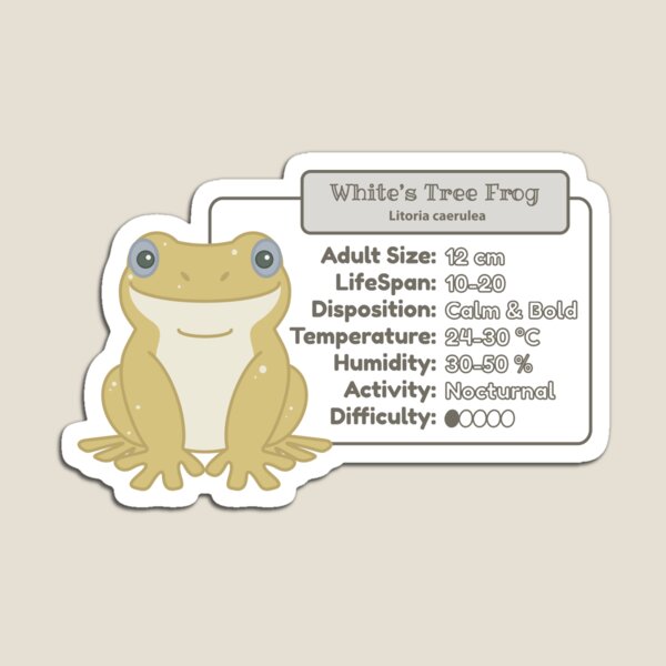 Item preview, White's Tree Frog (Honey Blue-Eyed) - Info - Metric designed and sold by TheFrogWrangler.
