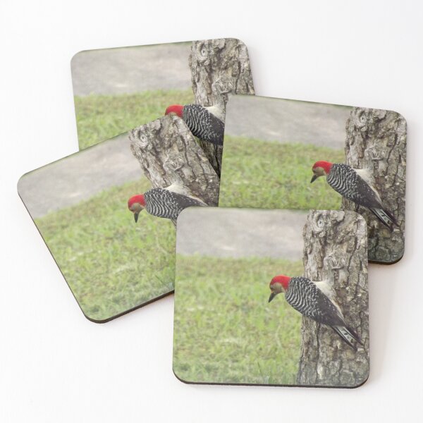 Item preview, Red Bellied Woodpecker designed and sold by Millerstef.