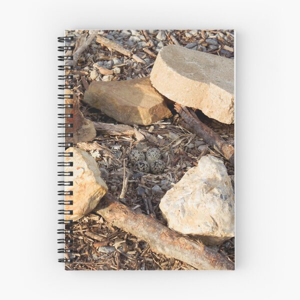 Item preview, Killdeer Nest designed and sold by Millerstef.
