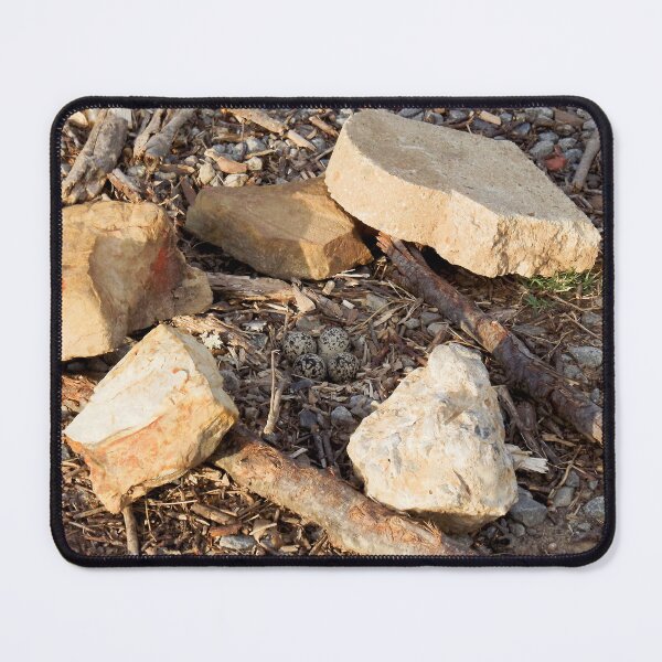 Item preview, Killdeer Nest designed and sold by Millerstef.