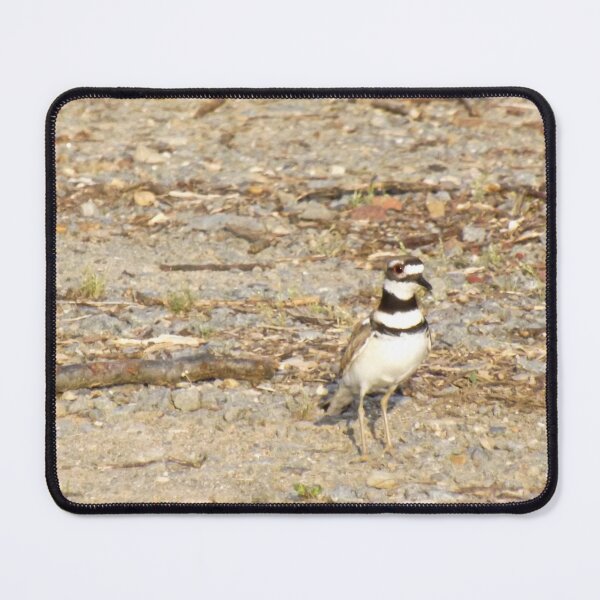 Item preview, Killdeer designed and sold by Millerstef.
