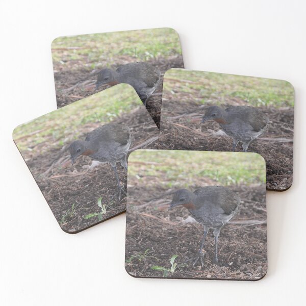 Item preview, Brush Turkey, Katoomba, Australia 2021 designed and sold by muz2142.
