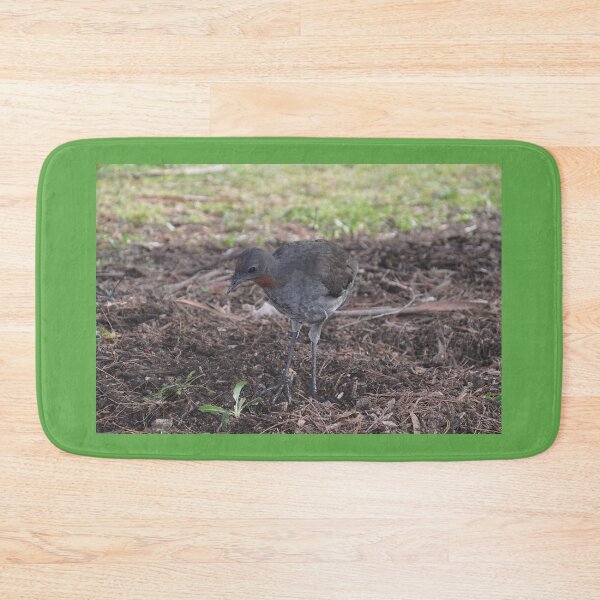 Item preview, Brush Turkey, Katoomba, Australia 2021 designed and sold by muz2142.