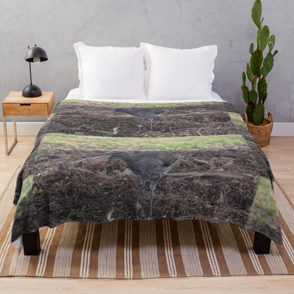Item preview, Brush Turkey, Katoomba, Australia 2021 designed and sold by muz2142.