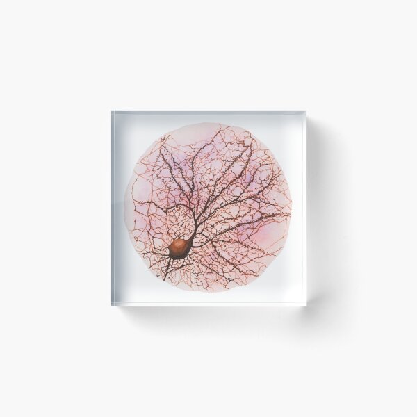 Dendritic tree and spines of an hippocampal neuron - watercolour - Pink Acrylic Block