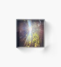 Sun Beam Trees Acrylic Block